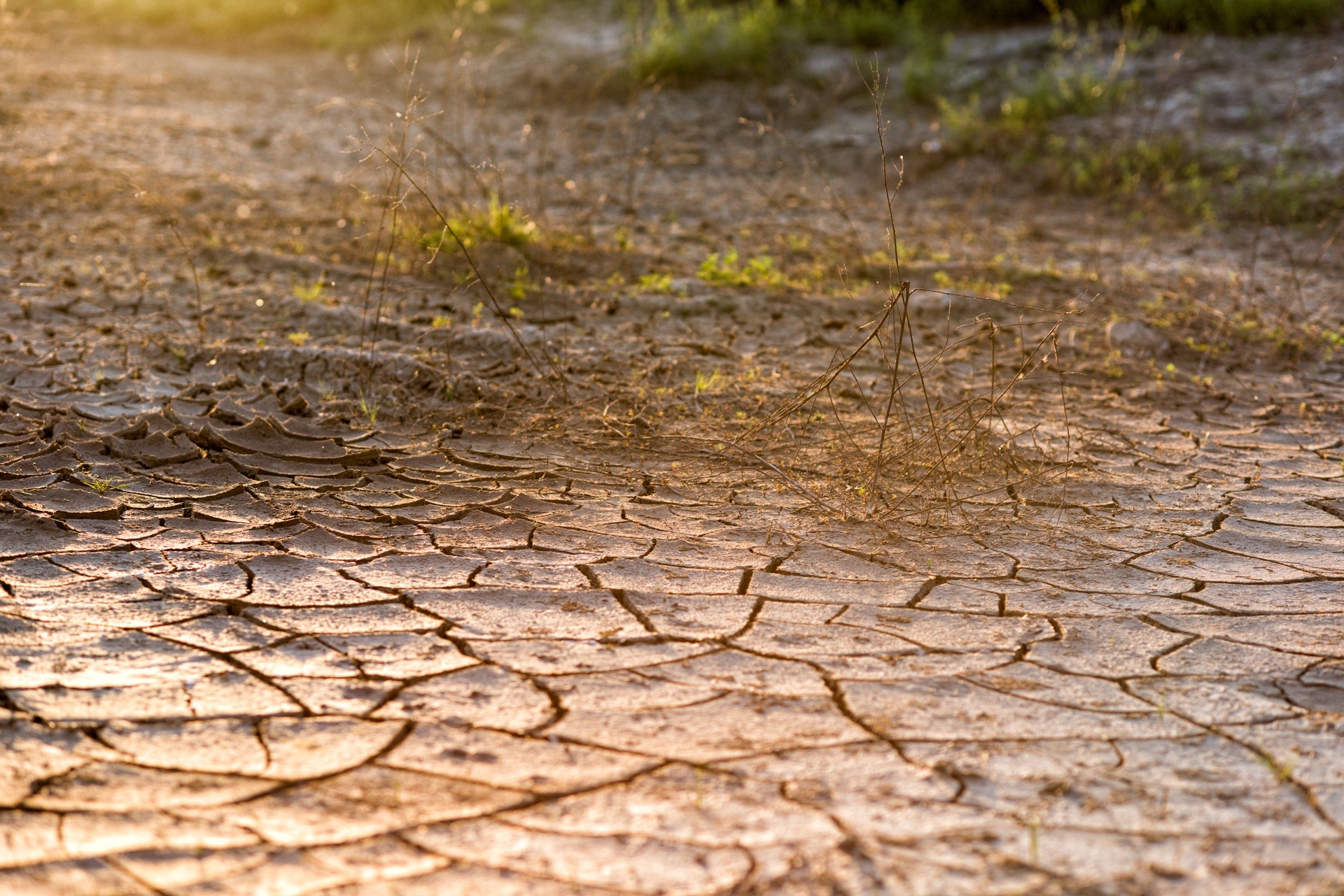 Drought &#124; Amazon Filters