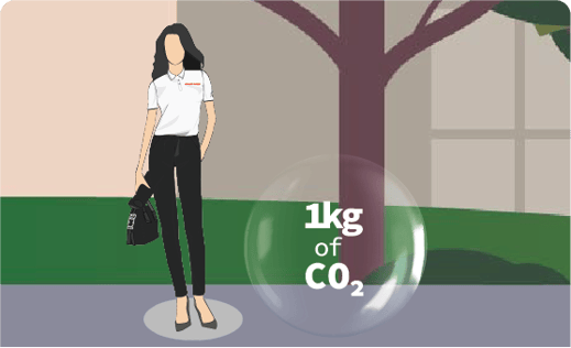 carbon update
