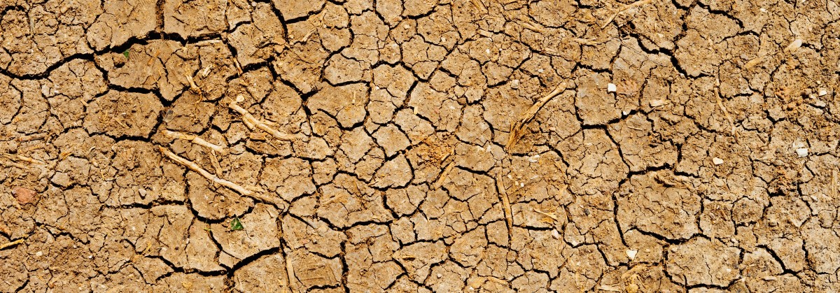 drought-2
