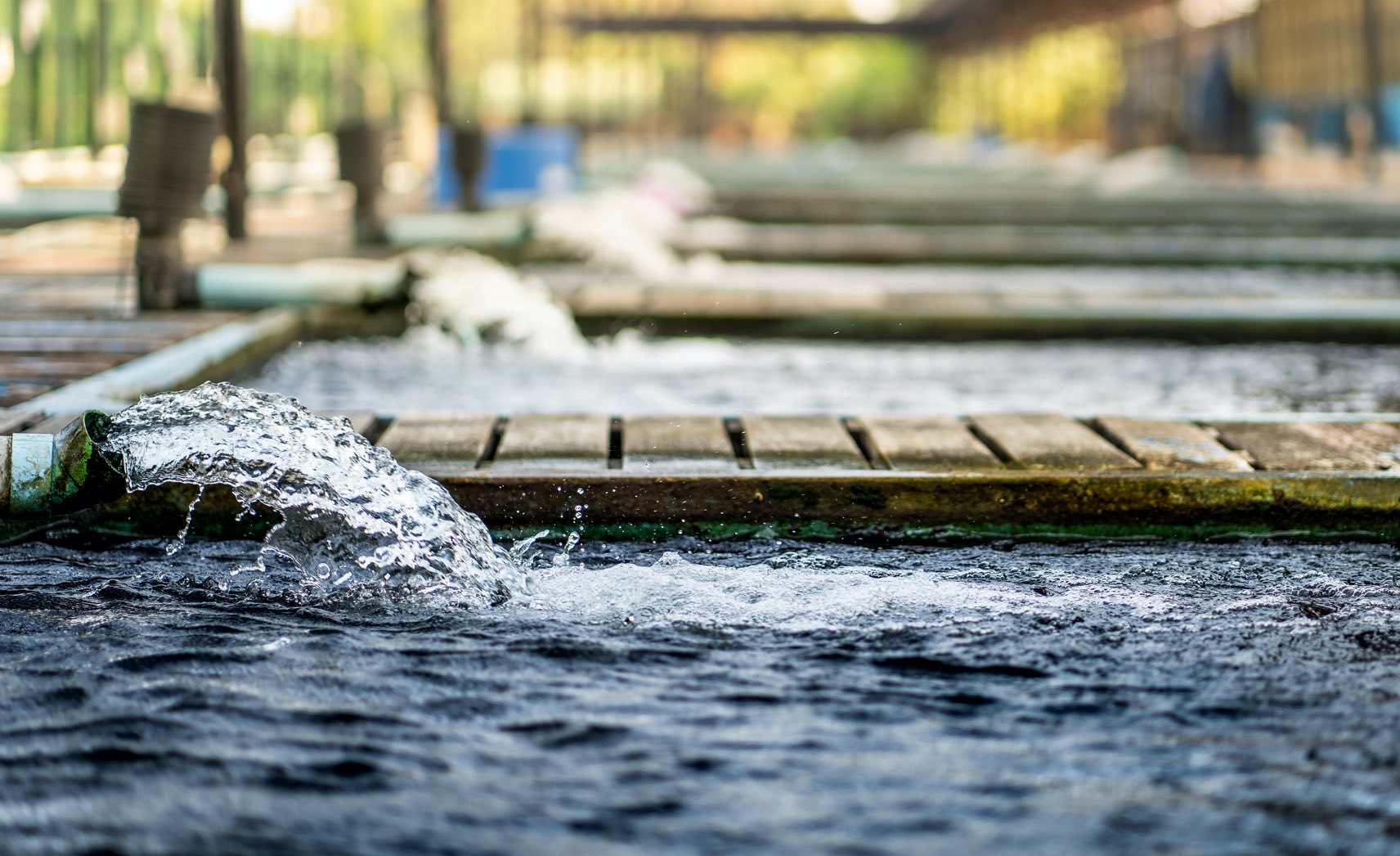 tanks of water